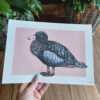Whio on Pink Art Print – Blue Duck - Image 2