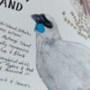 Birding in NZ Art Print - Image 3