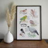 Birding in NZ Art Print - Image 5