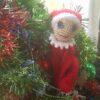 Elf on the Shelf