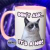 Don't Ask It's a No - MUG