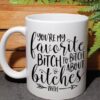 Favorite Bitch Mug