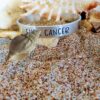 F u c k Cancer Cuff