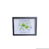 Birth Detail Frames - Image 5