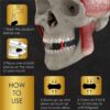 3PCS Jaw Exerciser Jaw Trainer Jawline Shaper - Image 2