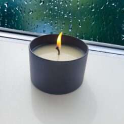Bugs Away Candle Coconut Wax 150 grams | Eco Lou