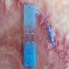 Oceanic Shell Bookmark