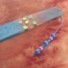 Oceanic Shell Bookmark - Image 3