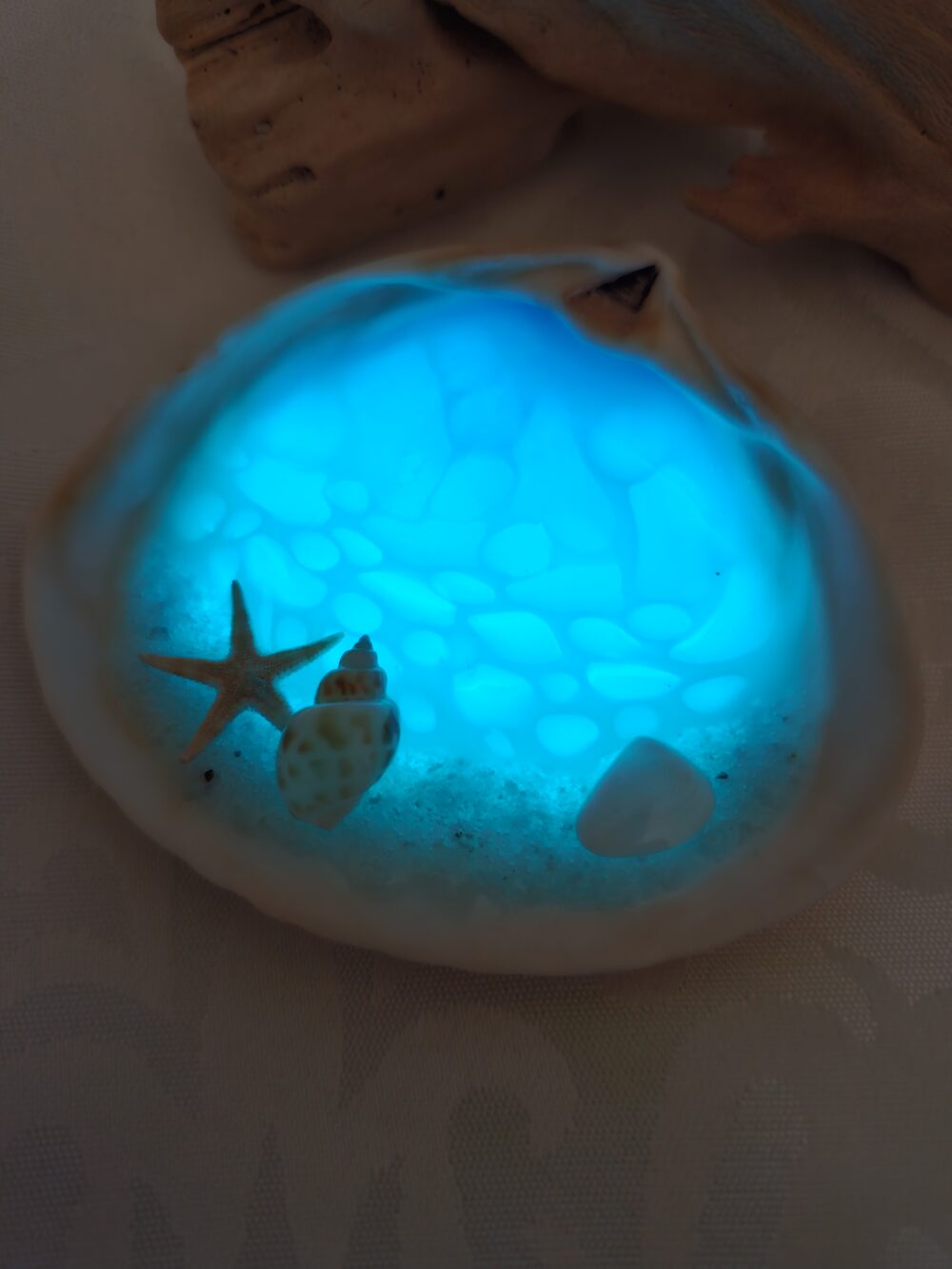 Glow In The Dark Seashell #17 - Image 2