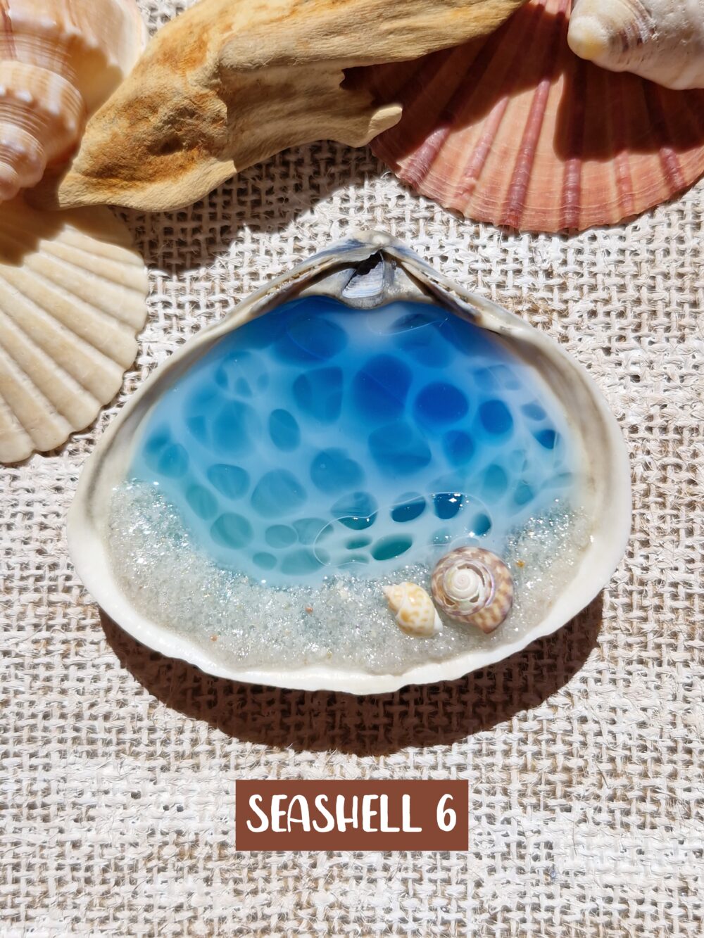 Glow In The Dark Seashell #6