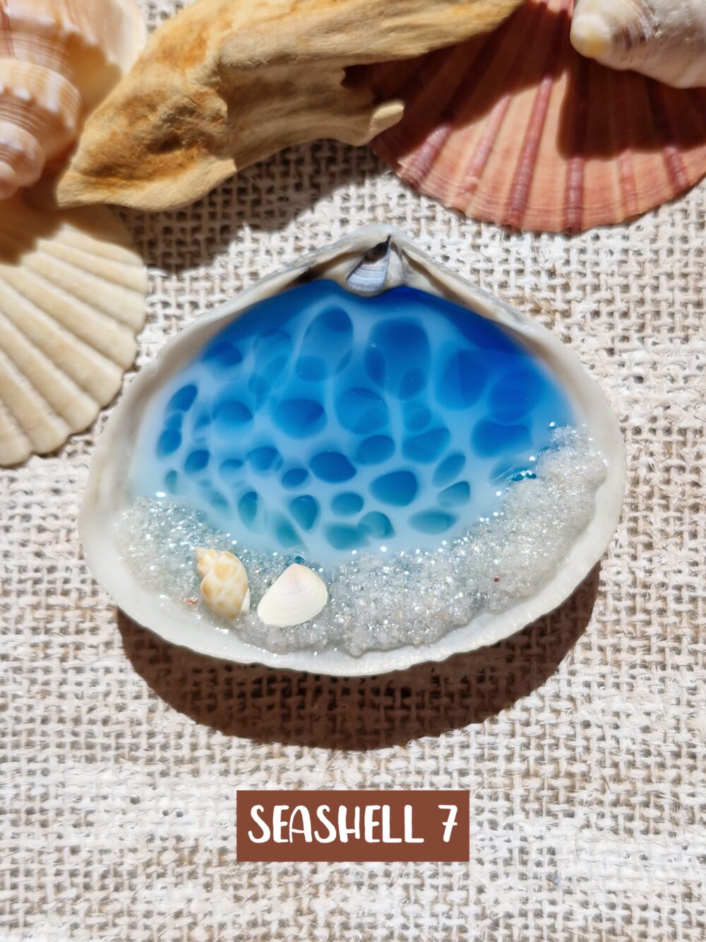 Glow In The Dark Seashell #7