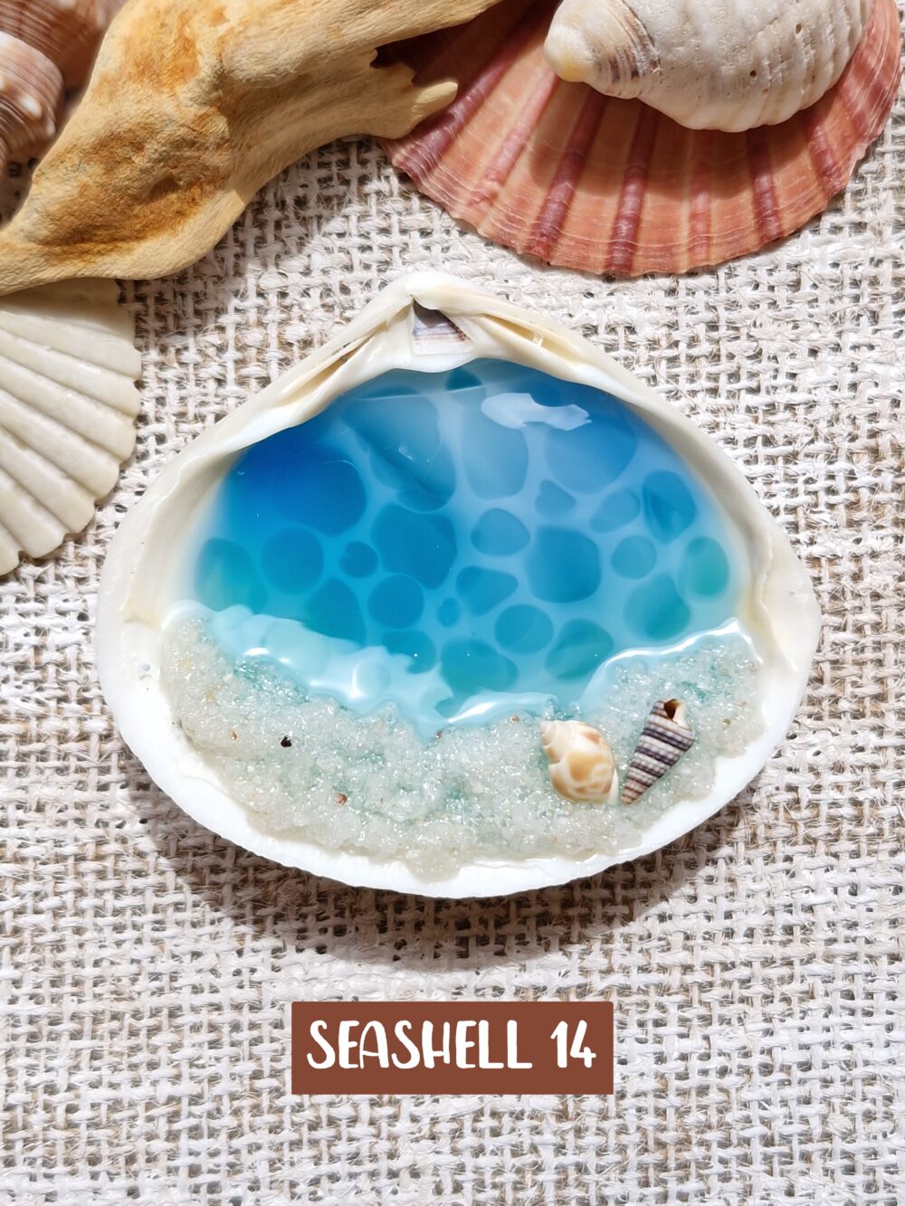 Glow In The Dark Seashell #14