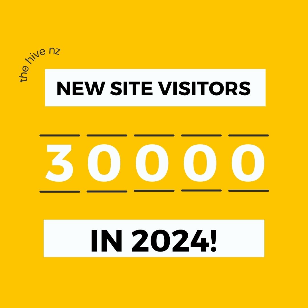 30000 new visitors to the hive nz marketplace in 2024