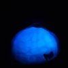 Glow In The Dark Seashell - Image 2