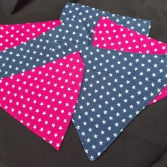Dog Bandanas – Stars, Galaxy and Constellations