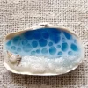 Glow In The Dark Seashell