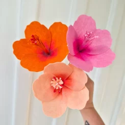 Hibiscus stems