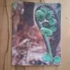 Koru Photo Book Cover - 1B4