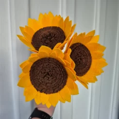 Sunflower stems
