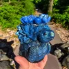 Zen Blue Succulent turtle candle