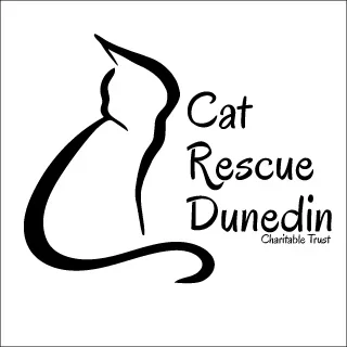 cat rescue dunedin