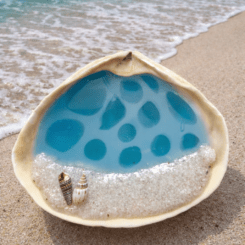 Glow In The Dark Seashell 4