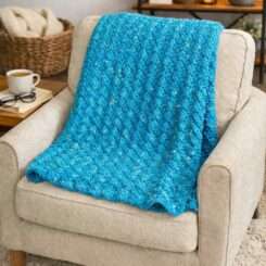 Image showing aqualung coloured lap blanket draped over a chair