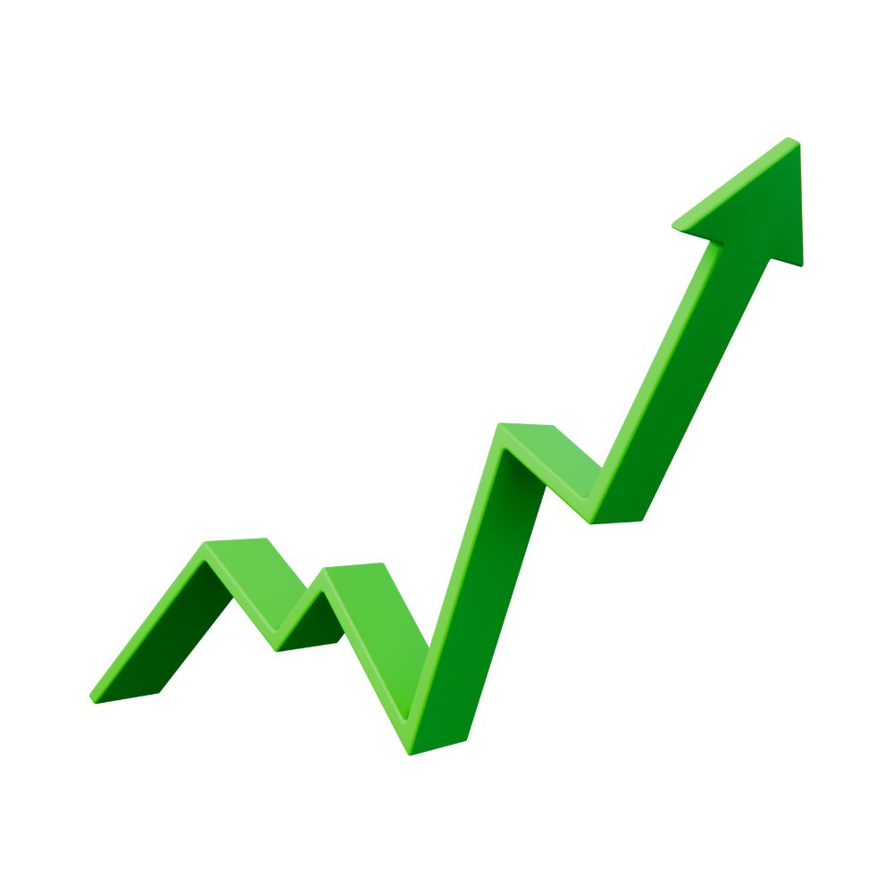 Infographic showing E-commerce success New Zealand