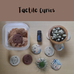 Tactile Curios. Round, earthy disks. In a range of different clays with various textures.