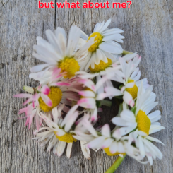 Yes the baby is cute, but what about me?