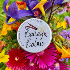 Kawakawa Vanilla Lip Balm 15ml