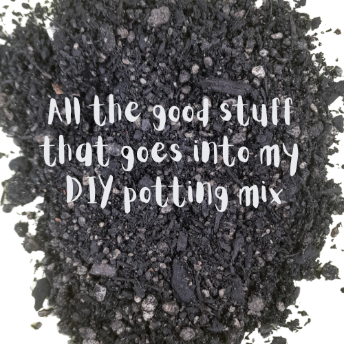 Kats Flora DIY potting mix