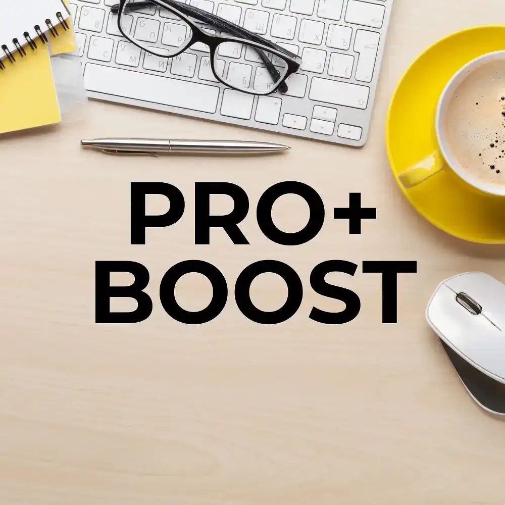 Pro + Boost | Unlimited Ecommerce Store for NZ Business