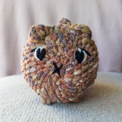 Tilly the Chonky Tabby