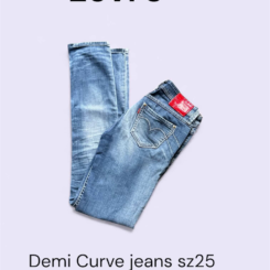 Levis Demi Curve Low Rise Straight Jeans