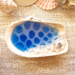 Glow In The Dark Seashell 2