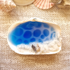 Glow In The Dark Seashell 5