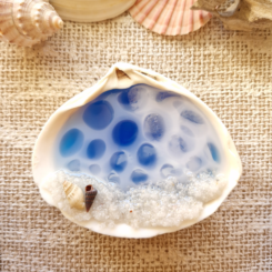 Glow In The Dark Seashell 4
