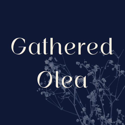 Gathered Olea