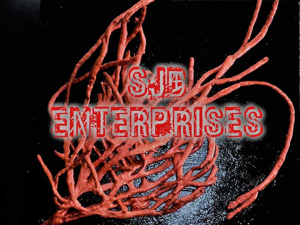 sjd enterprises logo