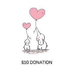 Inspired by koby donation