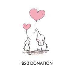 Inspired by Koby $20 Donation