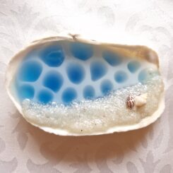 Glow In The Dark Seashell 2