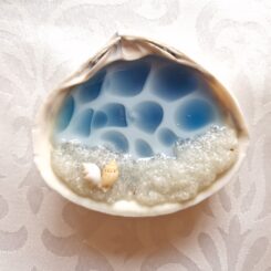 Glow In The Dark Seashell 5