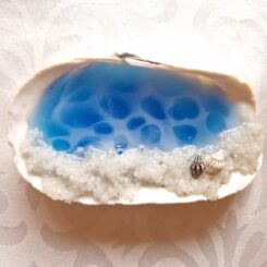 Glow In The Dark Seashell 6