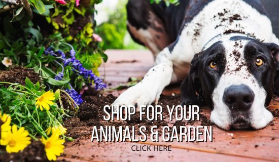 shop for your animals and garden on The Hive NZ